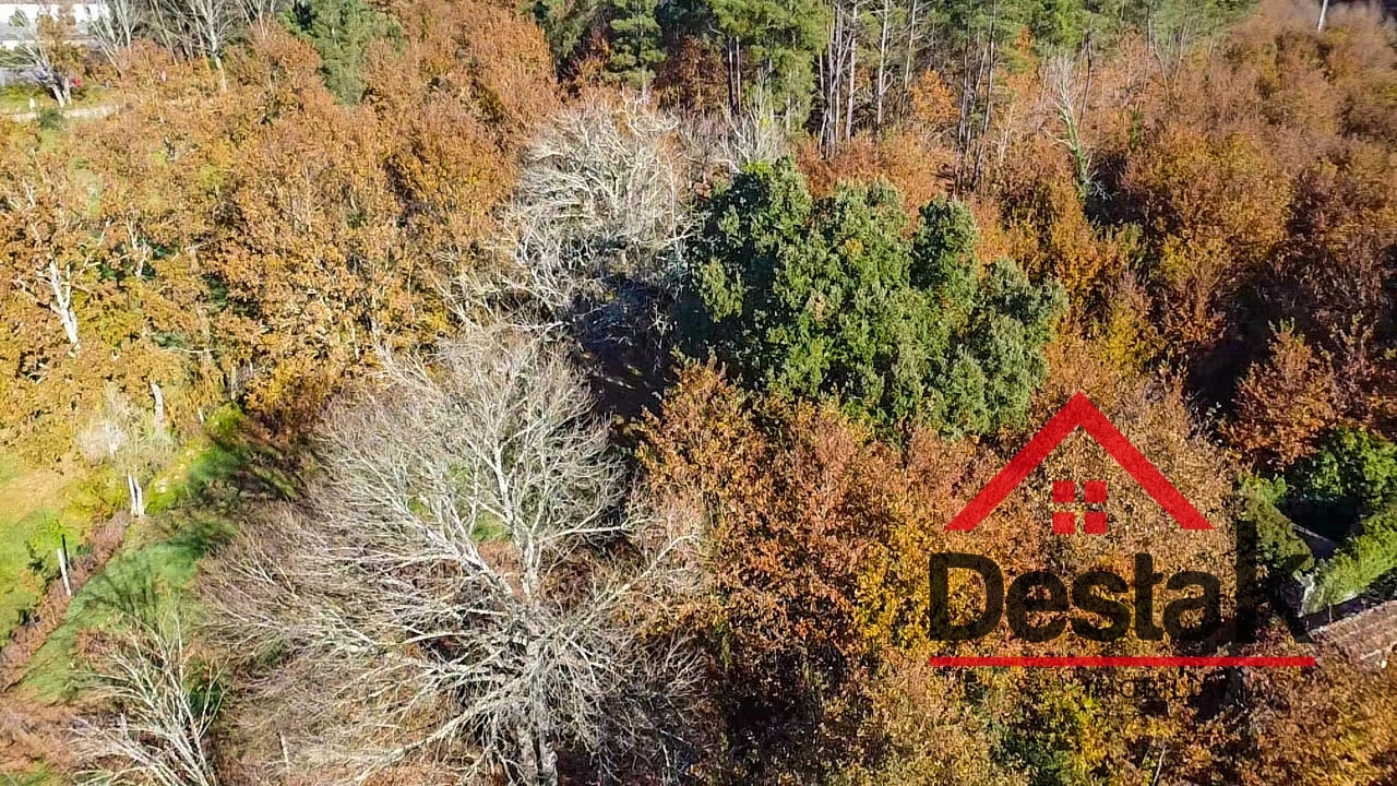 Terreno Agricola ou Rústico para Venda em Carvalhais e Candal Foto 10