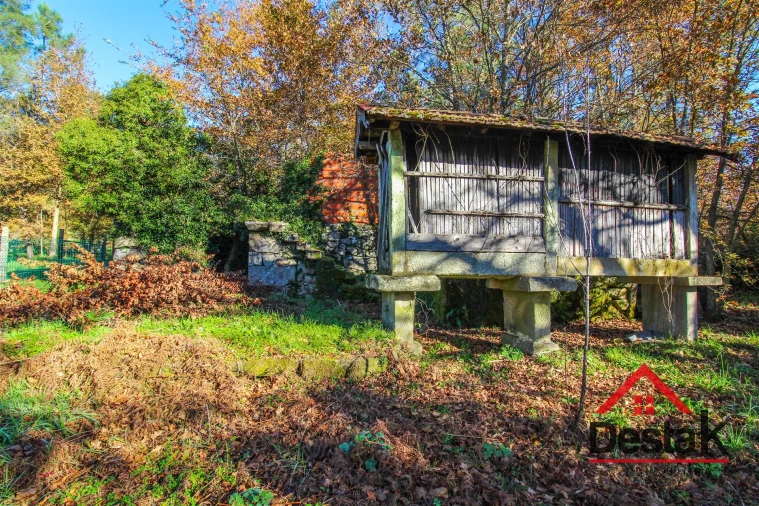 Terreno Agricola ou Rústico para Venda em Carvalhais e Candal Foto 4