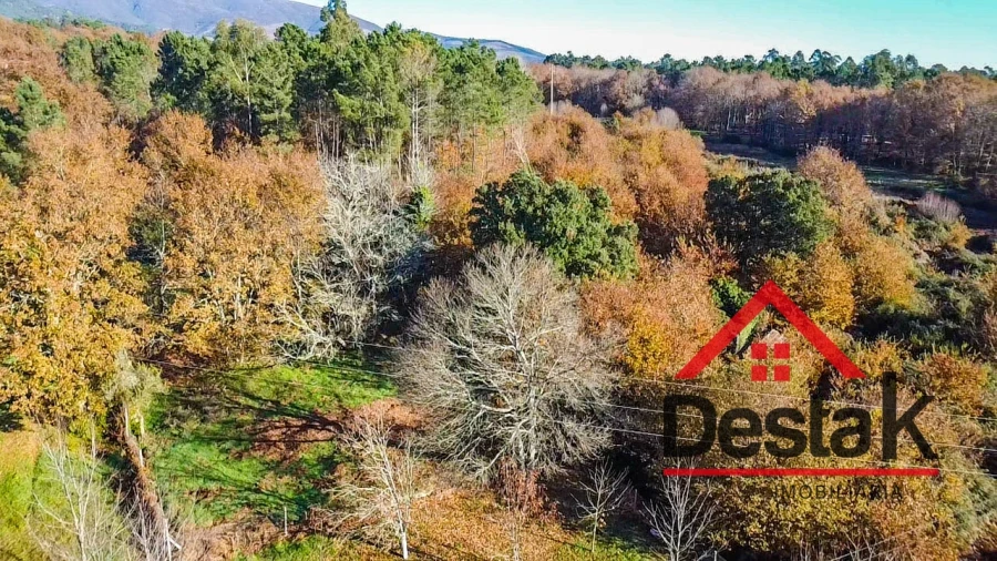 Terreno Agricola ou Rústico para Venda em Carvalhais e Candal Foto 8
