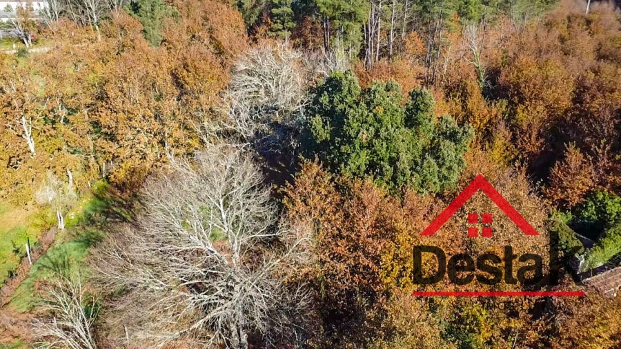 Terreno Agricola ou Rústico para Venda em Carvalhais e Candal Foto 10