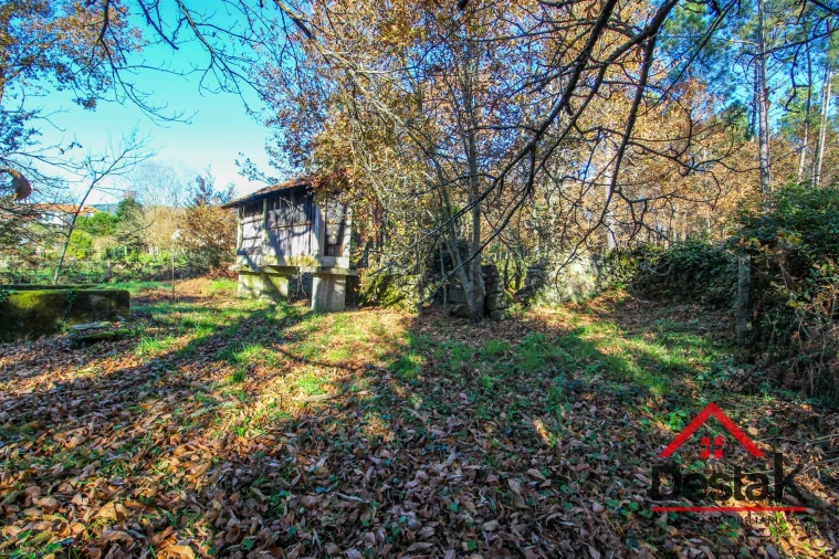 Terreno Agricola ou Rústico para Venda em Carvalhais e Candal Foto 5
