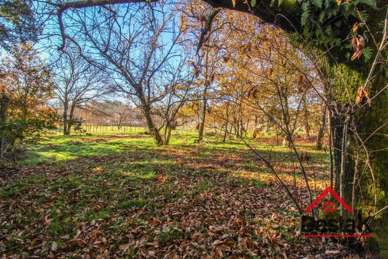 Terreno Agricola ou Rústico para Venda em Carvalhais e Candal Foto 1