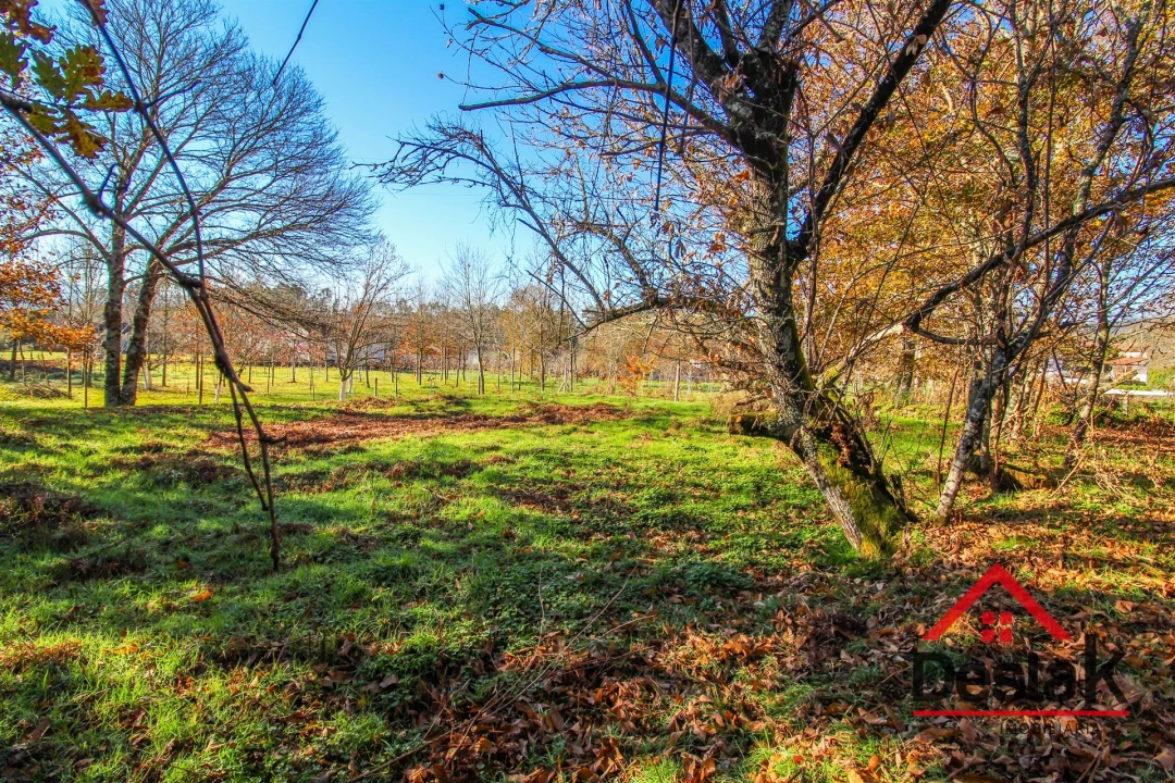 Terreno Agricola ou Rústico para Venda em Carvalhais e Candal Foto 2