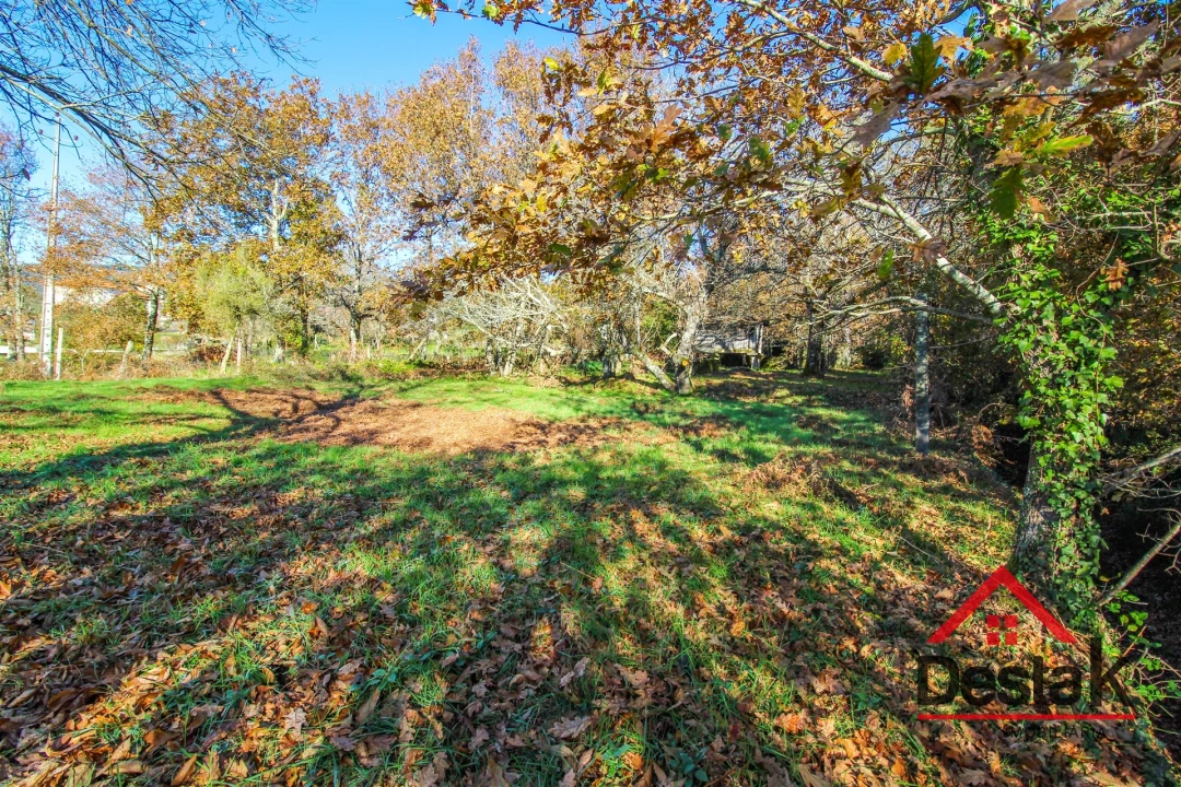 Terreno Agricola ou Rústico para Venda em Carvalhais e Candal Foto 6