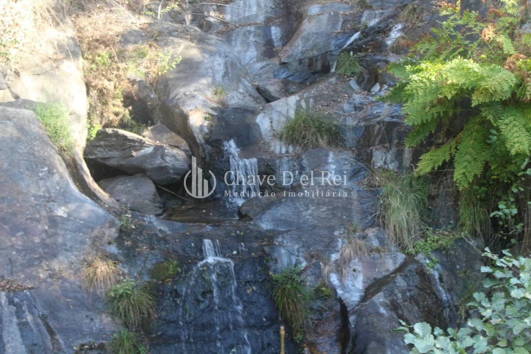 Quinta T0 para Venda em Parada de Ester e Ester Foto 17