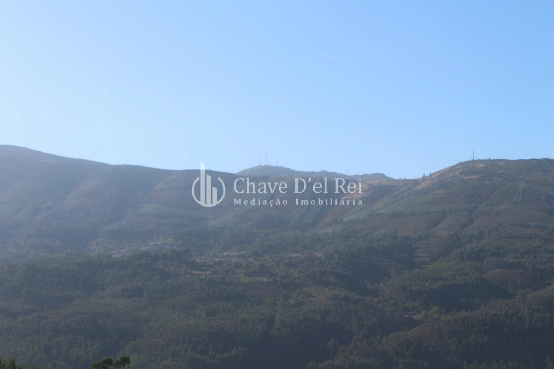 Quinta T0 para Venda em Parada de Ester e Ester Foto 26