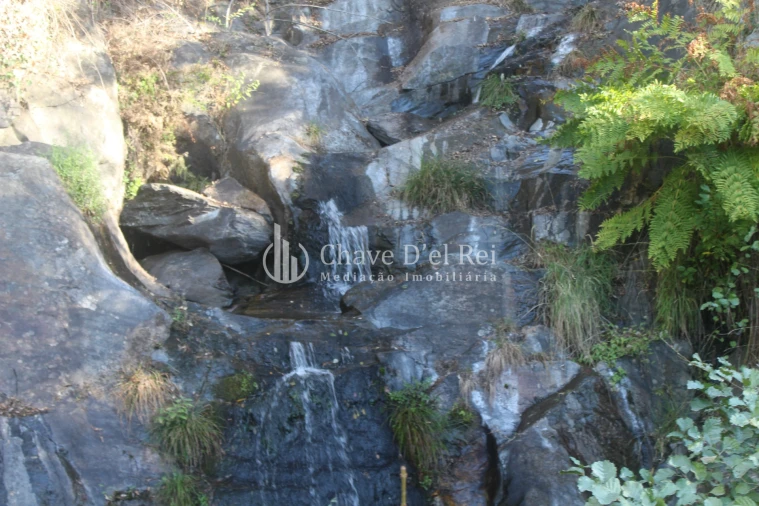 Quinta T0 para Venda em Parada de Ester e Ester Foto 17