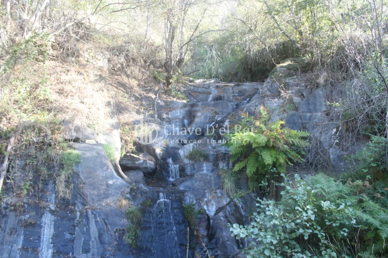 Quinta T0 para Venda em Parada de Ester e Ester Foto 16