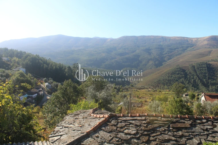 Quinta T0 para Venda em Parada de Ester e Ester Foto 23