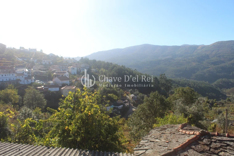 Quinta T0 para Venda em Parada de Ester e Ester Foto 25