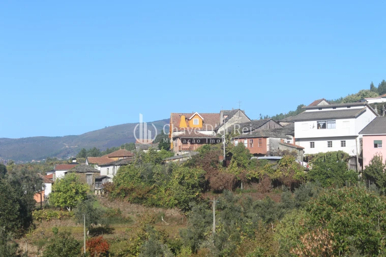 Quinta T0 para Venda em Parada de Ester e Ester Foto 24