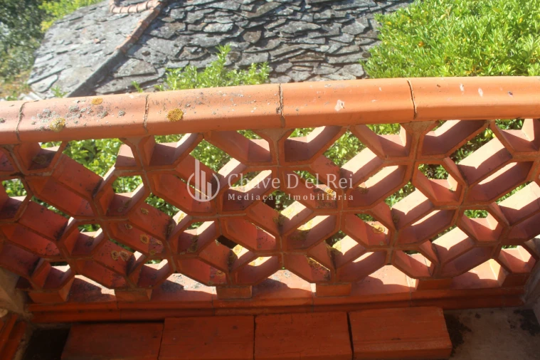 Quinta T0 para Venda em Parada de Ester e Ester Foto 4