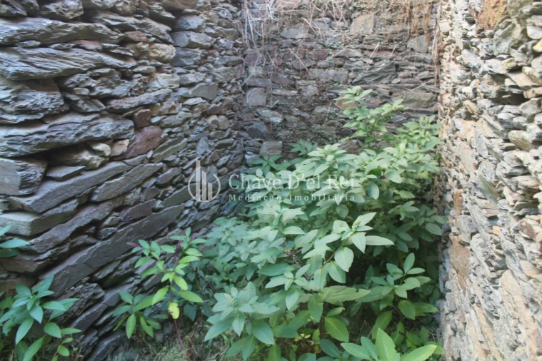 Quinta T0 para Venda em Parada de Ester e Ester Foto 15