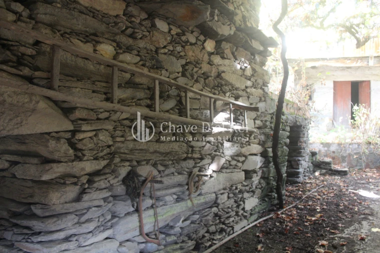 Quinta T0 para Venda em Parada de Ester e Ester Foto 11