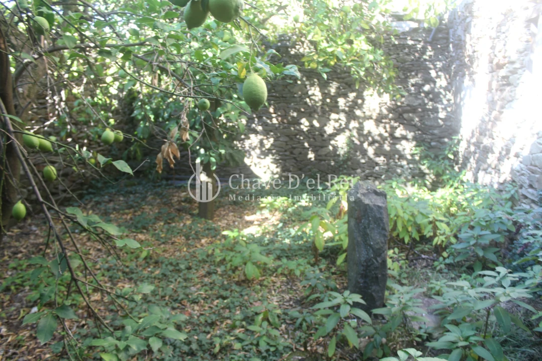 Quinta T0 para Venda em Parada de Ester e Ester Foto 21