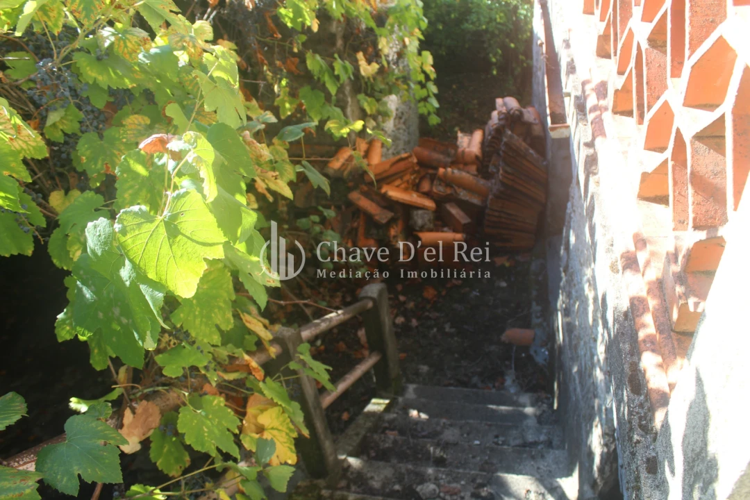 Quinta T0 para Venda em Parada de Ester e Ester Foto 7