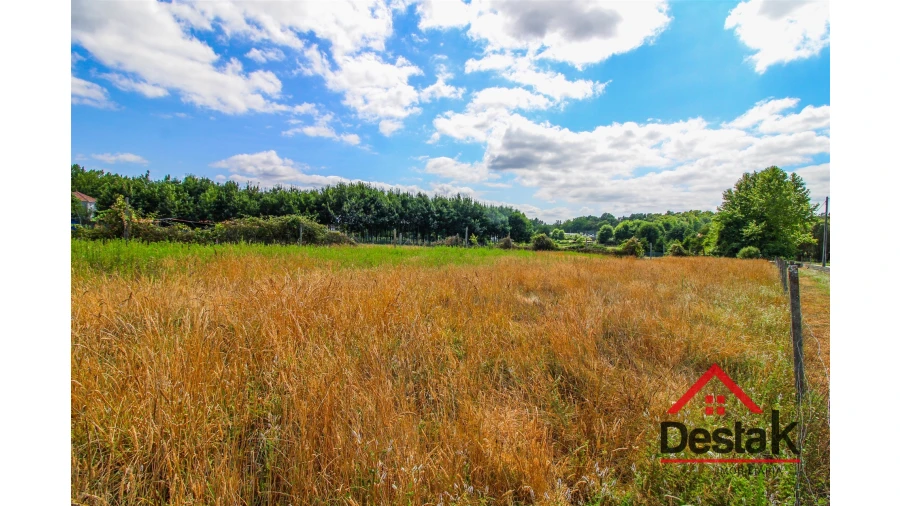 Terreno para Venda em Carvalhais e Candal Foto 13
