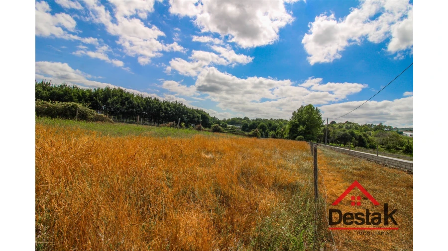 Terreno para Venda em Carvalhais e Candal Foto 12