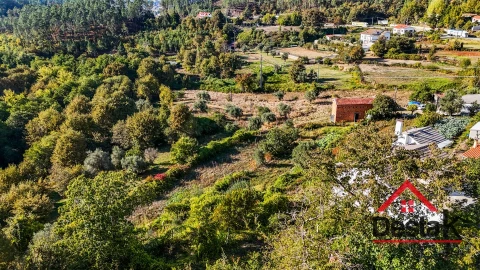 Terreno para Venda em São Pedro do Sul, Várzea e Baiões