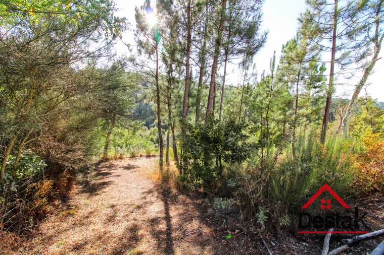 Terreno para Venda em São Pedro do Sul, Várzea e Baiões Foto 8