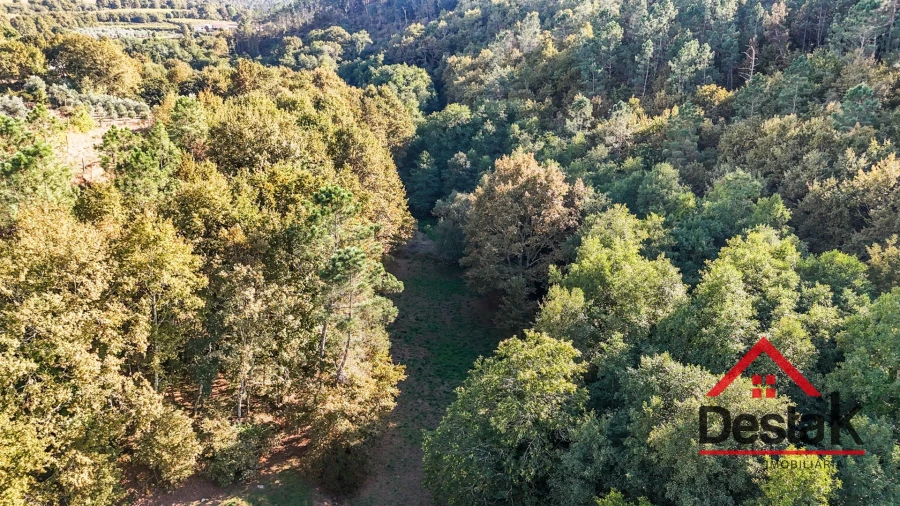 Terreno para Venda em São Pedro do Sul, Várzea e Baiões Foto 3
