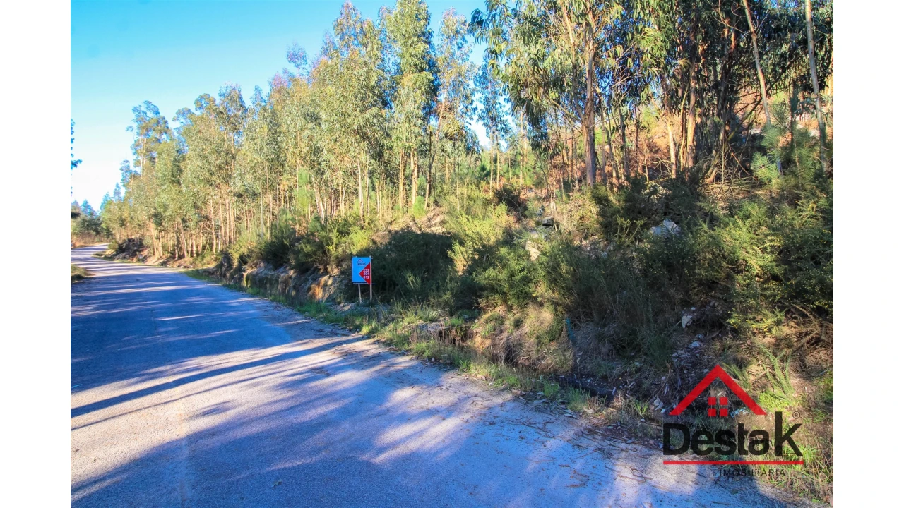 Terreno para Venda em São Vicente de Lafões Foto 8