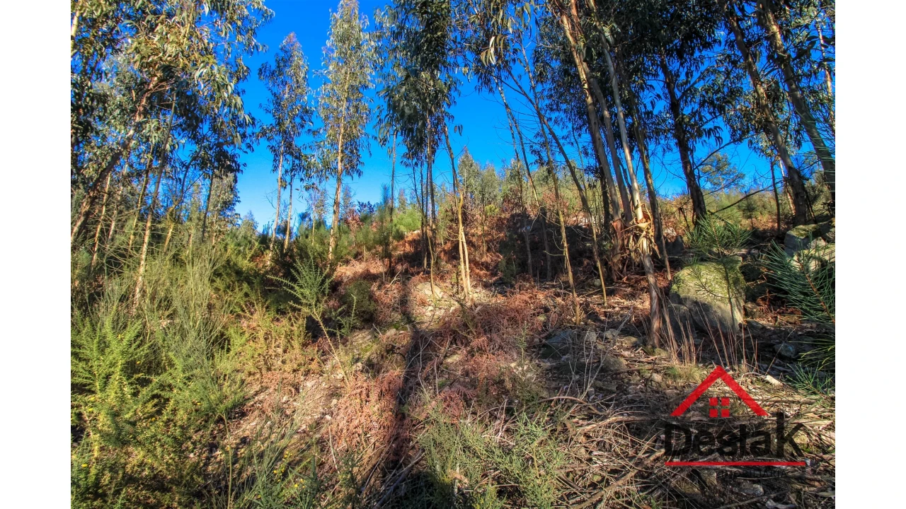 Terreno para Venda em São Vicente de Lafões Foto 3
