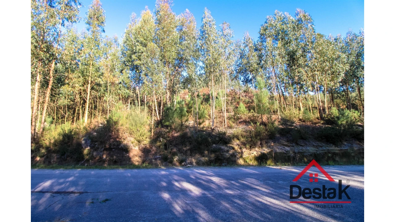 Terreno para Venda em São Vicente de Lafões Foto 6