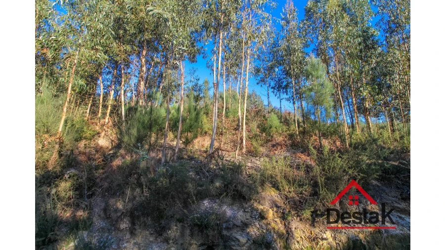 Terreno para Venda em São Vicente de Lafões Foto 5