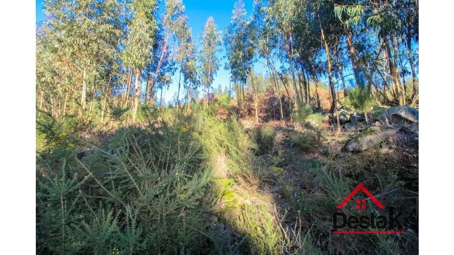 Terreno para Venda em São Vicente de Lafões Foto 2