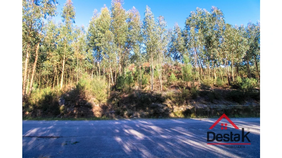Terreno para Venda em São Vicente de Lafões Foto 6
