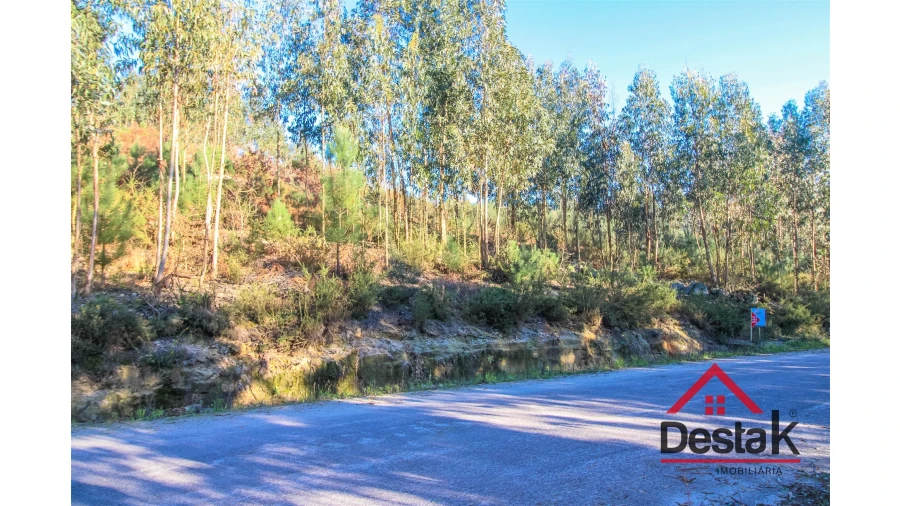 Terreno para Venda em São Vicente de Lafões Foto 7