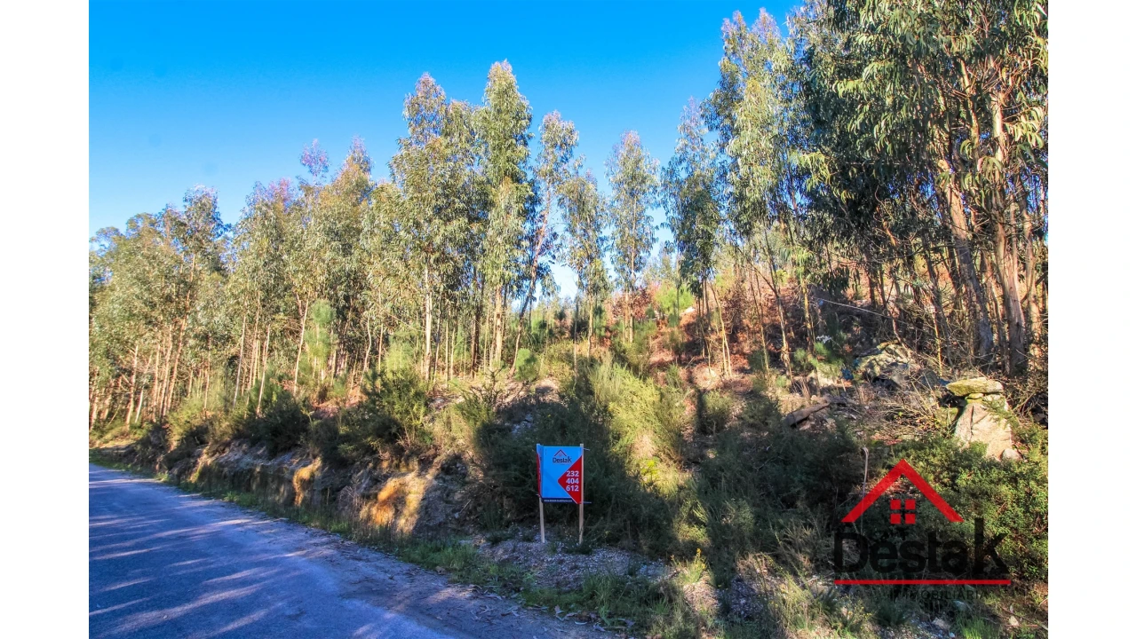 Terreno para Venda em São Vicente de Lafões Foto 1