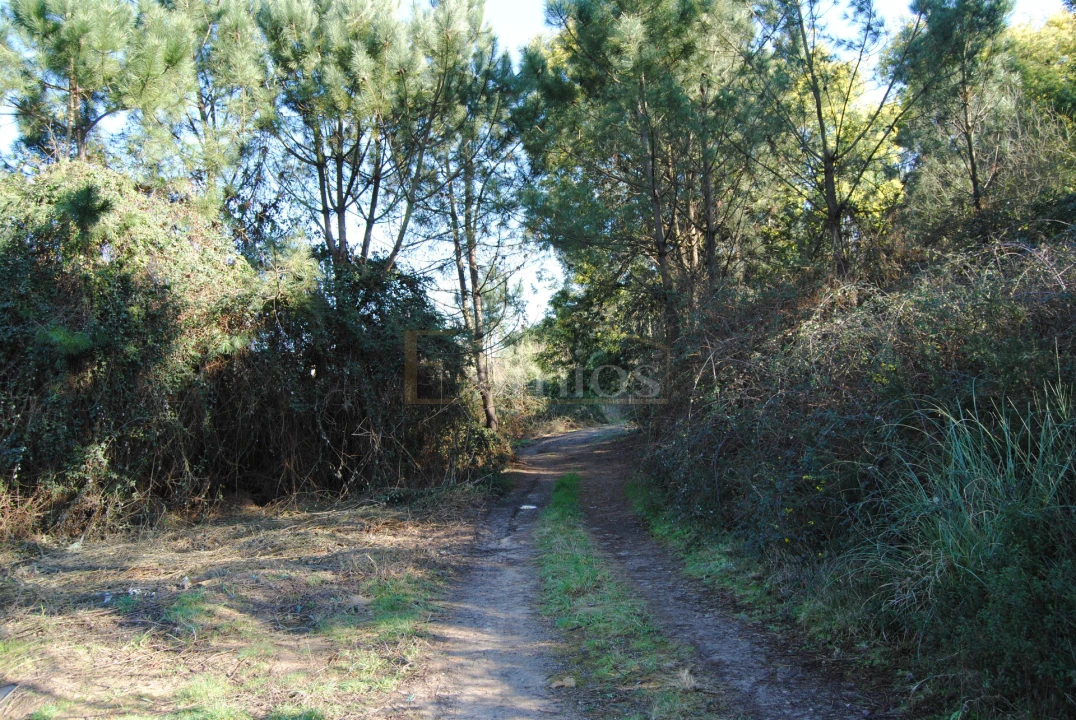 Terreno para Venda em Macieira da Maia Foto 5