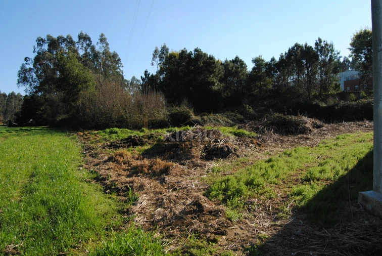 Terreno para Venda em Macieira da Maia Foto 4