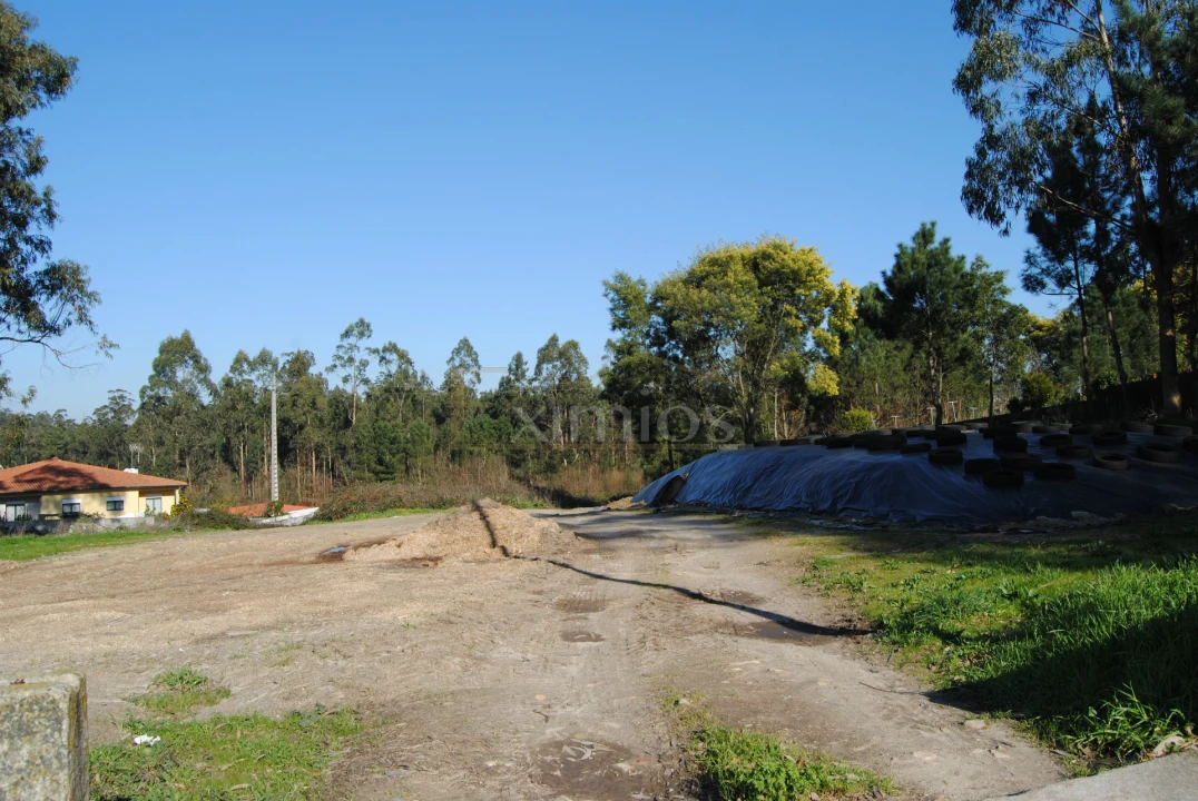 Terreno para Venda em Macieira da Maia Foto 6
