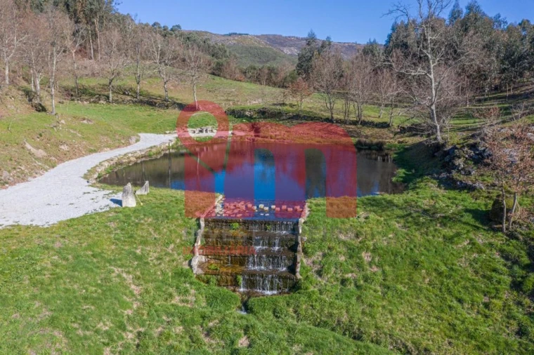 Quinta T0 para Venda em Abadim Foto 13