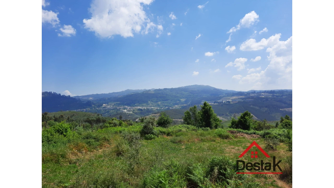 Terreno Agricola ou Rústico para Venda em Serrazes Foto 4