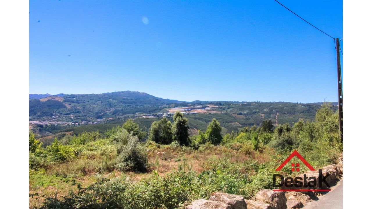 Terreno Agricola ou Rústico para Venda em Serrazes Foto 7