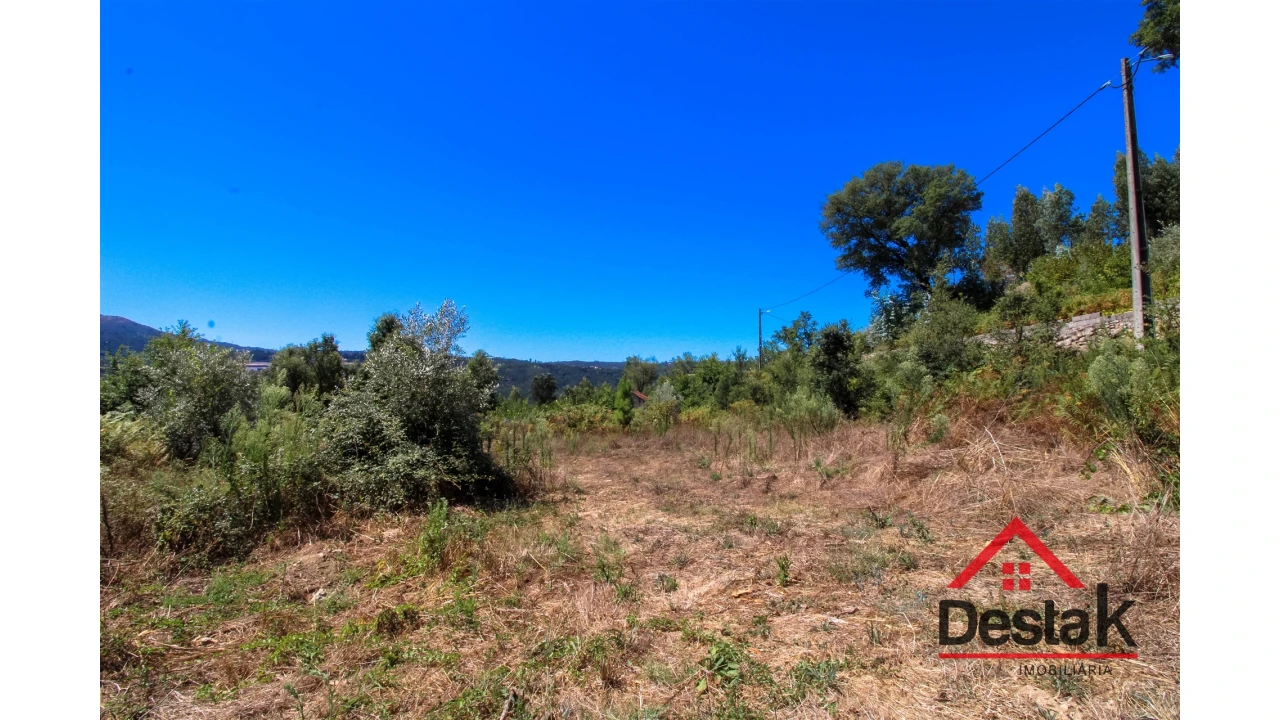 Terreno Agricola ou Rústico para Venda em Serrazes Foto 11