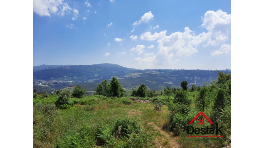 Terreno Agricola ou Rústico para Venda em Serrazes Foto 2