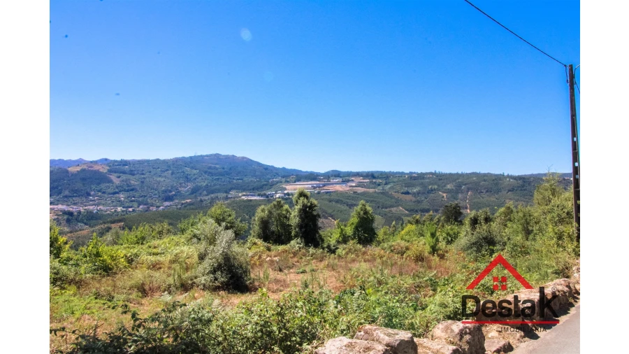 Terreno Agricola ou Rústico para Venda em Serrazes Foto 7