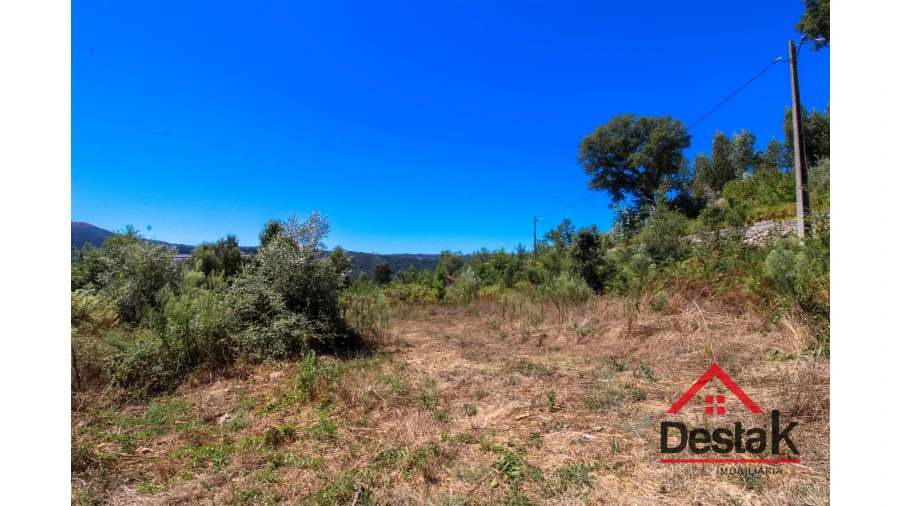 Terreno Agricola ou Rústico para Venda em Serrazes Foto 11