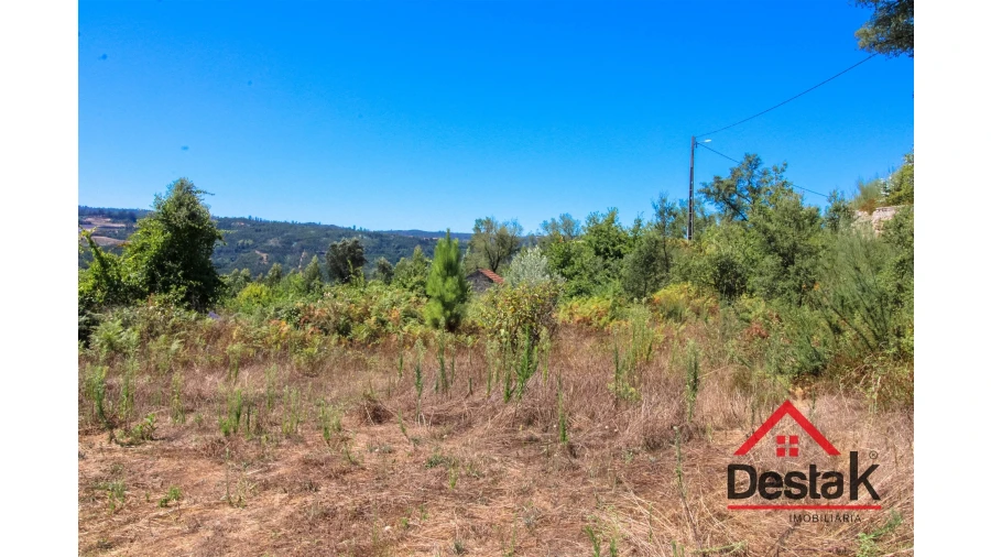 Terreno Agricola ou Rústico para Venda em Serrazes Foto 12