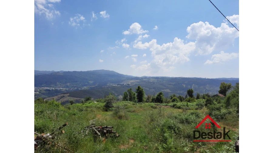 Terreno Agricola ou Rústico para Venda em Serrazes Foto 3