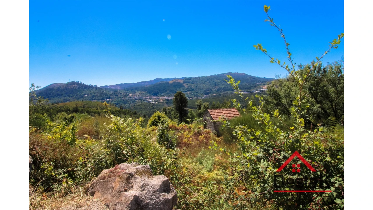 Terreno Agricola ou Rústico para Venda em Serrazes Foto 9