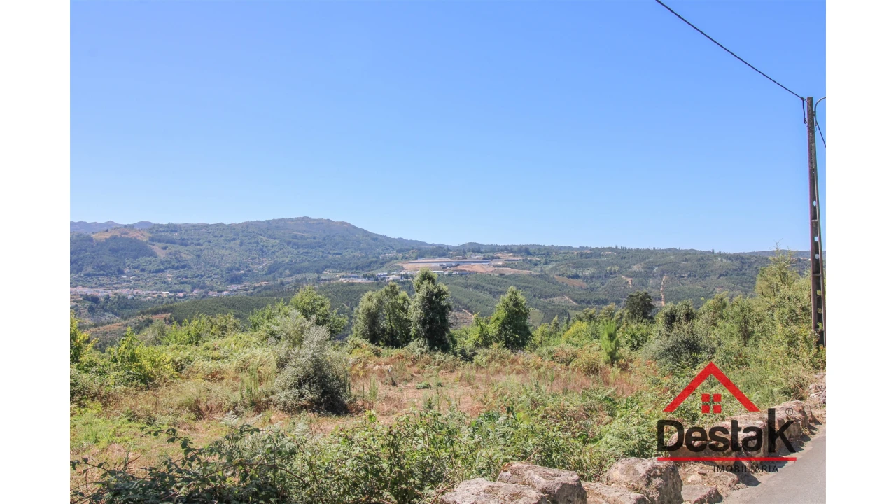 Terreno Agricola ou Rústico para Venda em Serrazes Foto 8