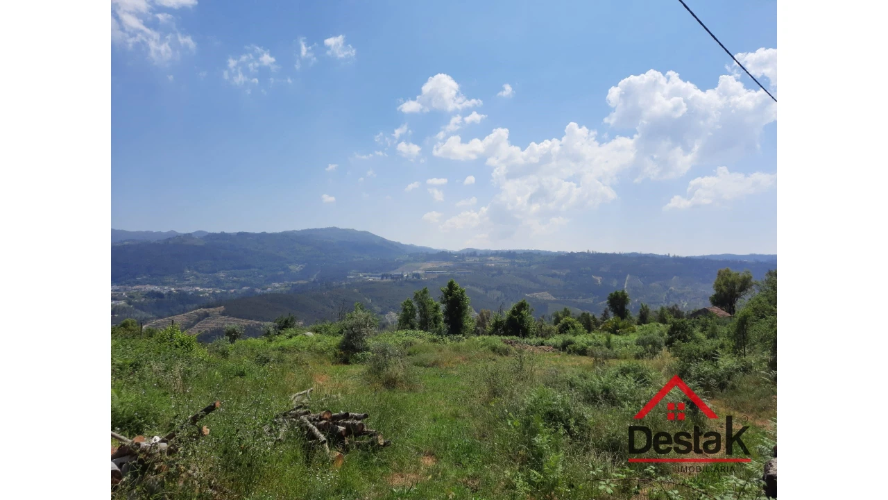 Terreno Agricola ou Rústico para Venda em Serrazes Foto 3