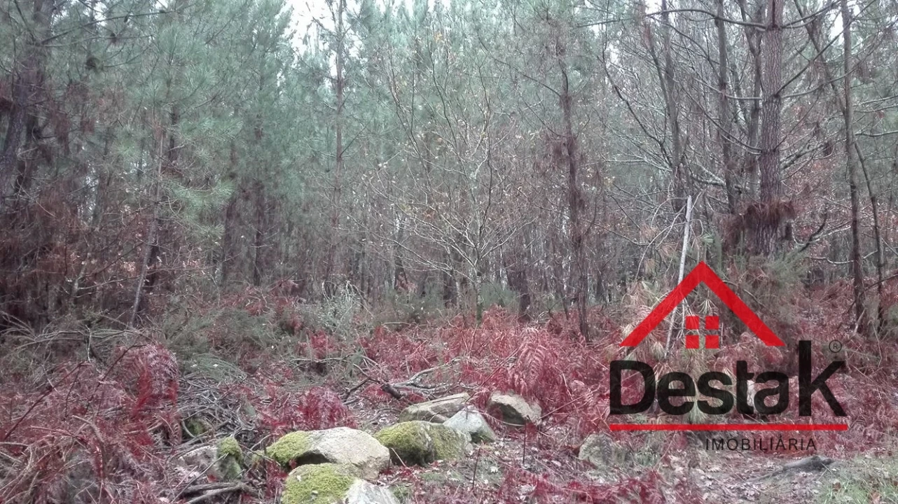 Terreno para Venda em São Miguel do Mato Foto 4