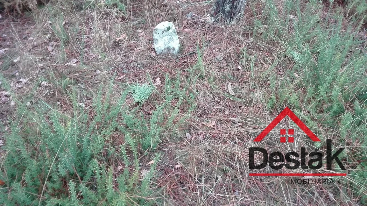 Terreno para Venda em São Miguel do Mato Foto 11